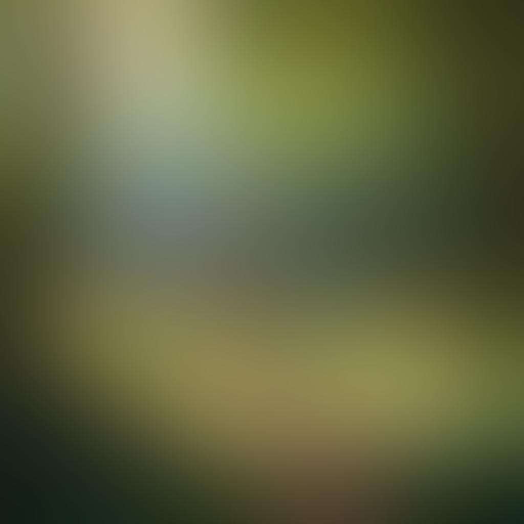 A serene natural landscape featuring a diverse group of nude individuals joyfully interacting with nature, surrounded by lush greenery and vibrant flowers. The scene conveys a sense of freedom and body positivity, with sunlight filtering through the trees casting gentle shadows. Incorporate elements of mindfulness, such as meditation poses or people engaging in artistic expressions. super-realistic. vibrant colors. peaceful atmosphere.